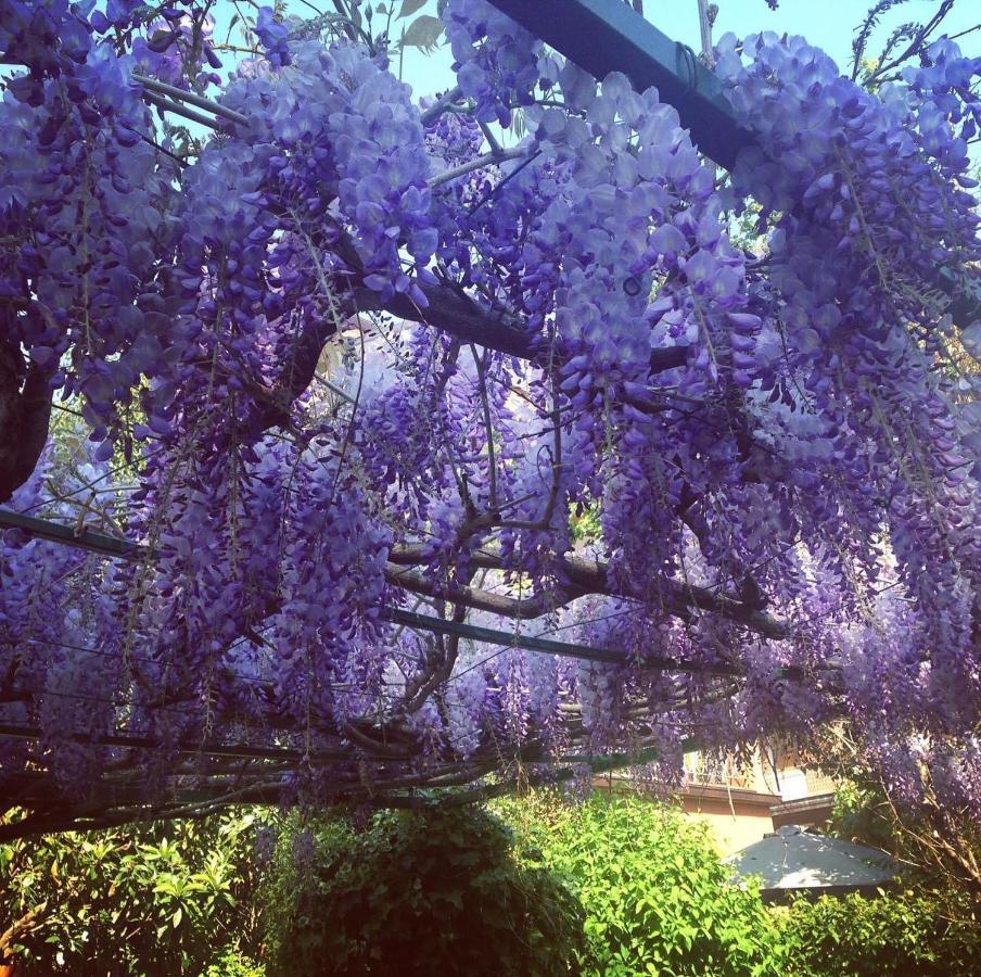 Il Giardino Nel Parco R&B 호텔 볼로냐 외부 사진