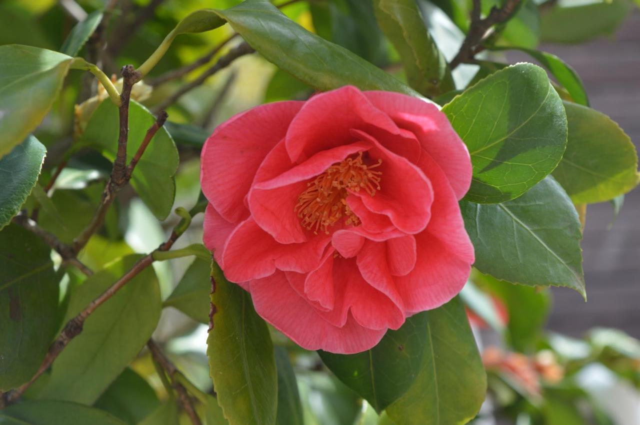 Il Giardino Nel Parco R&B 호텔 볼로냐 외부 사진